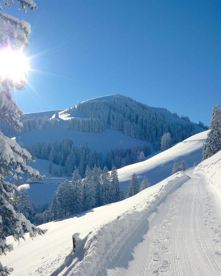 Hotel Rigi Kloesterli Rigi Kaltbad Kültér fotó