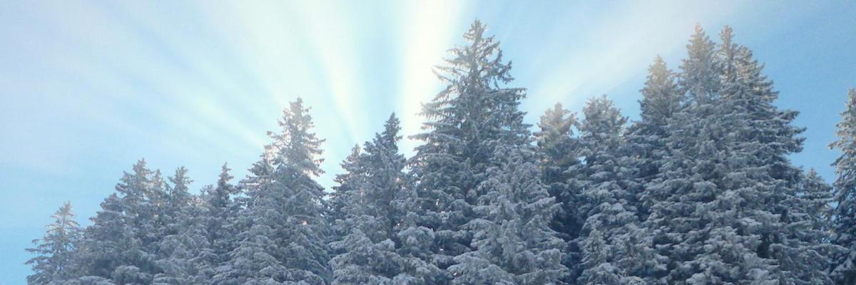 Hotel Rigi Kloesterli Rigi Kaltbad Kültér fotó