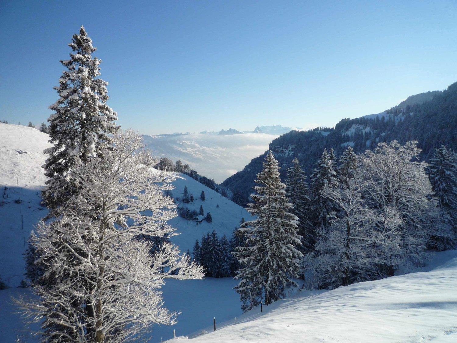 Hotel Rigi Kloesterli Rigi Kaltbad Kültér fotó